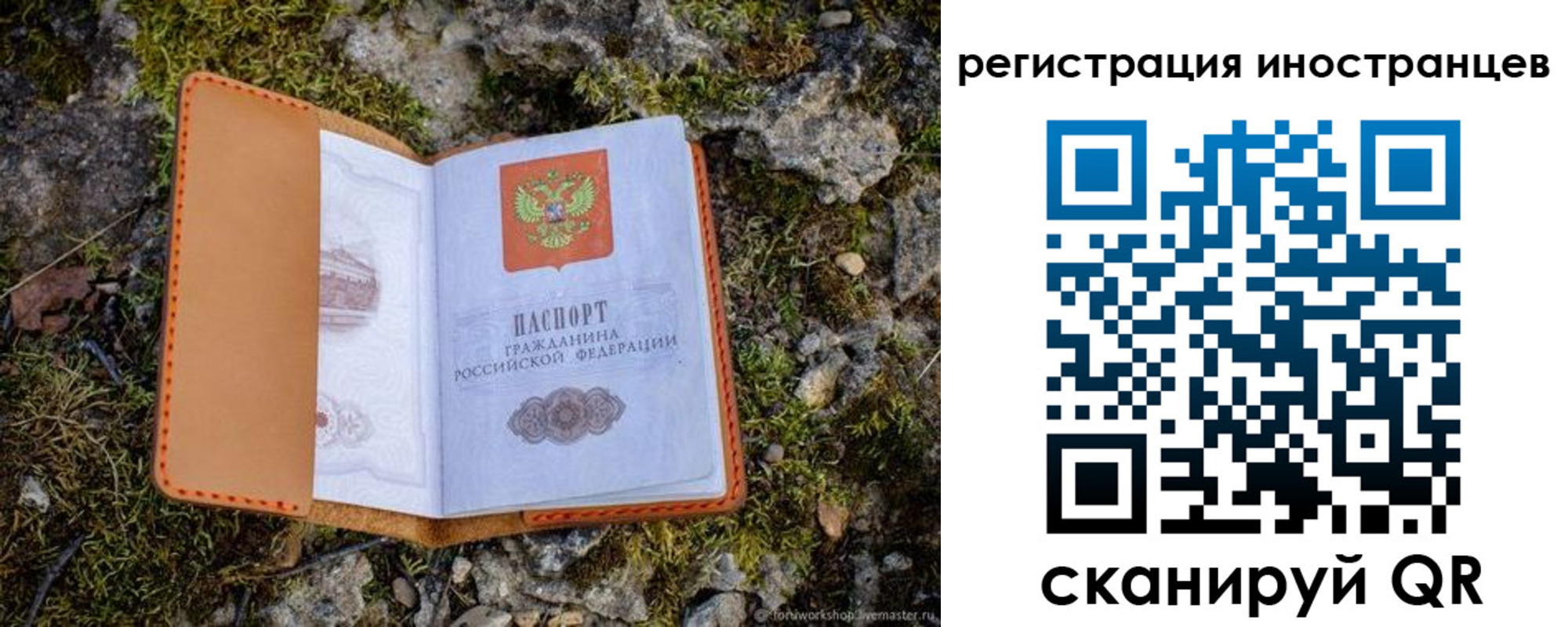 прописка паспорт в Орехово-Зуево